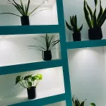 Isspagna Apartman *