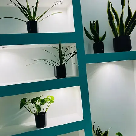 Isspagna Apartmán *